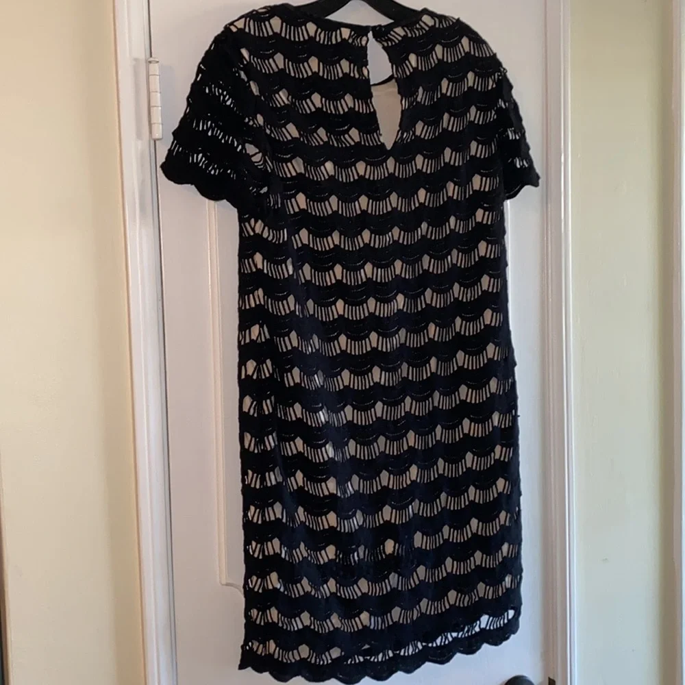 kate spade virginia scalloped lace dress